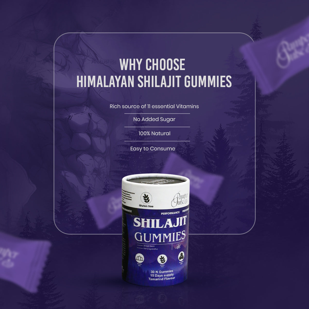Himalayan Shilajit Gummies